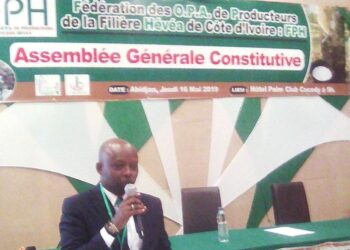 Côte d’Ivoire/Les producteurs d’hévéa s’unissent au sein d’une interprofession