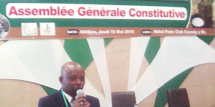 Côte d’Ivoire/Les producteurs d’hévéa s’unissent au sein d’une interprofession
