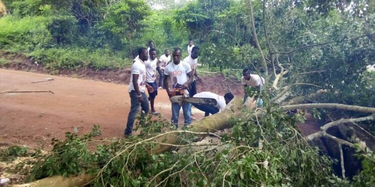 Présidentielle en Côte d’Ivoire : Point de la situation dans la nuit de vendredi à samedi