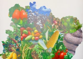 SARA 2019: l’Assemblée des régions et districts s’est donnée de la visibilité