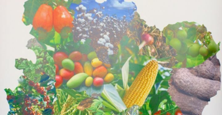 SARA 2019: l’Assemblée des régions et districts s’est donnée de la visibilité