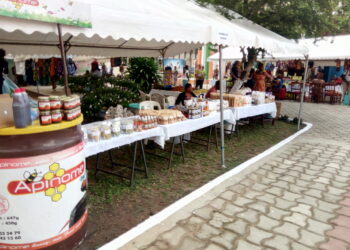 Côte d’Ivoire : le musée des civilisations organise une journée porte-ouverte dédiée à la femme