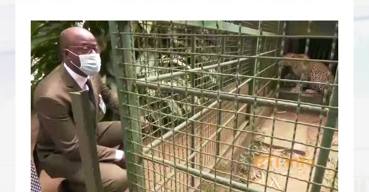 Zoo d’Abidjan : le ministre Alain Donwahi rassure sur la santé des animaux