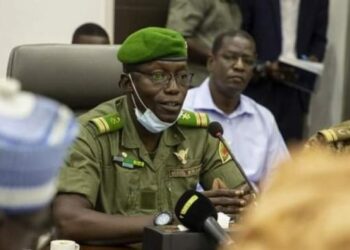 Mali : Le Colonel Malick Diaw élu président du CNT