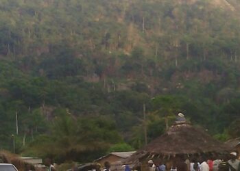 Côte d’Ivoire: Les chefs traditionnels du Guémon plaident pour la libération totale du parc Mont Peko