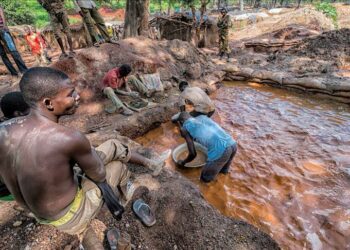 Lutte contre l&rsquo;orpaillage clandestin : Le quatrième chantier-école ouvert à Nangbokro (Daoukro)