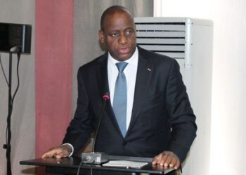 Affaire « Ivoiriens bloqués à l’extérieur »/Ally Coulibaly : « Des consultations sont en cours afin de trouver les solutions appropriées»