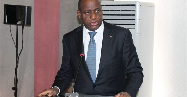 Affaire « Ivoiriens bloqués à l’extérieur »/Ally Coulibaly : « Des consultations sont en cours afin de trouver les solutions appropriées»