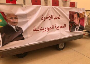 COVID-19 : Le Maroc envoie une aide médicale à plusieurs pays africains