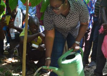 Sinfra : Bilan satisfaisant du programme de durabilité du cacao