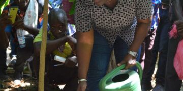 Sinfra : Bilan satisfaisant du programme de durabilité du cacao