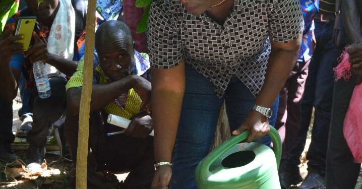 Sinfra : Bilan satisfaisant du programme de durabilité du cacao