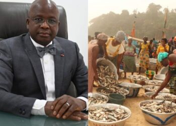 90 millions F CFA d’appui aux femmes du Débarcadère de Locodjoro : Moussa Dosso rassure