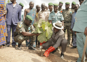 Côte d’Ivoire: le Ministre Alain Donwahi annonce le planting d’un million d’arbres le 15 novembre