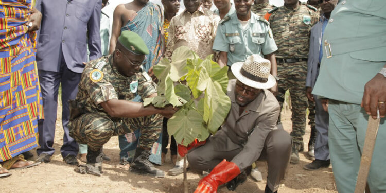 Côte d’Ivoire: le Ministre Alain Donwahi annonce le planting d’un million d’arbres le 15 novembre