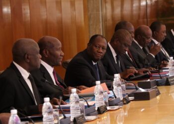 COMMUNIQUE DU CONSEIL DES MINISTRES DU MERCREDI 29 AVRIL 2020