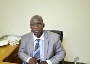 Covid 19/Doukoure Mamadou, président de l’APPEXCOCI: « La filière cola reste un secteur rentable » 