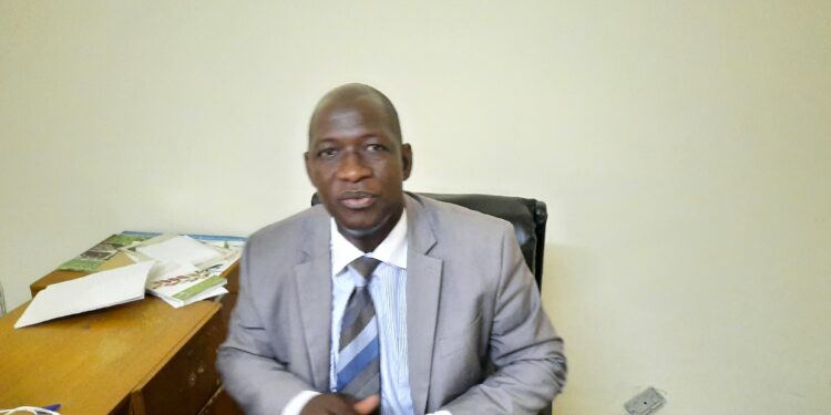 Covid 19/Doukoure Mamadou, président de l’APPEXCOCI: « La filière cola reste un secteur rentable » 