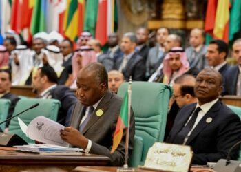 OCI : les pays membres s&rsquo;engagent à œuvrer davantage pour la paix et le développement