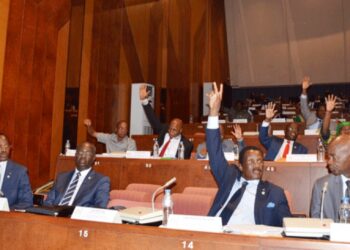 Sénat/Recomposition de la CEI : le Groupe parlementaire RHDP apporte son soutien au projet de loi