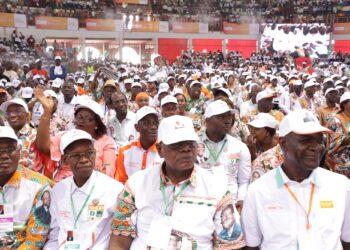 Législatives 2021 en Côte d’Ivoire: La liste complète des candidats RHDP