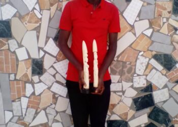 Trafic d’espèces protégées / Décision de Justice : le trafiquant d’ivoires sénégalais Djibril Gueye condamné.