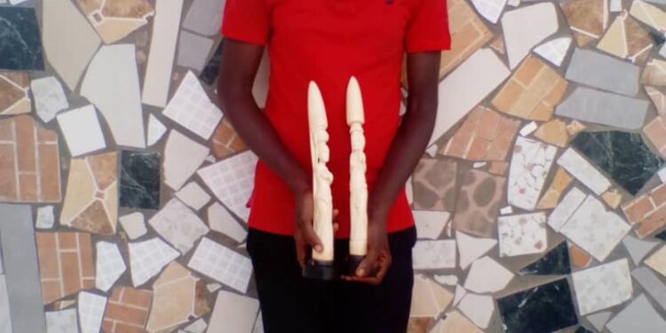 Trafic d’espèces protégées / Décision de Justice : le trafiquant d’ivoires sénégalais Djibril Gueye condamné.