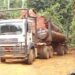 Côte d’Ivoire/trafic du bois de vène: « le gouvernement sera de plus en plus vigilant » (PM)