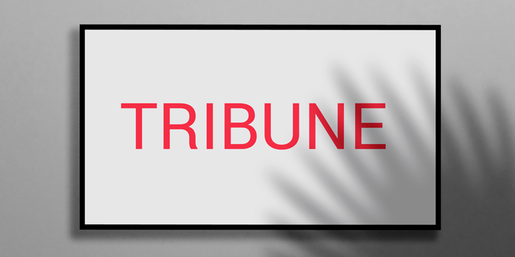 Trois escales pour réfléchir le monde à venir