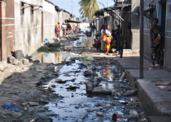 Koumassi /épidémie de dengue: une opération de démoustication lancée ce mercredi