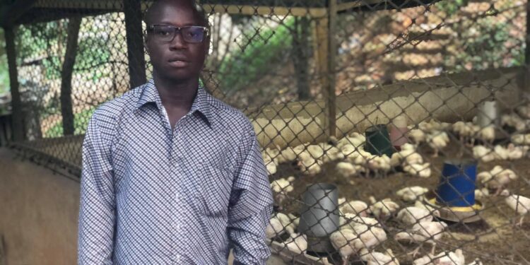 (Portrait) Entrepreneuriat/Élevage de volailles  Kouassi Konan Jean-François, l’autodidacte devenu modèle de réussite