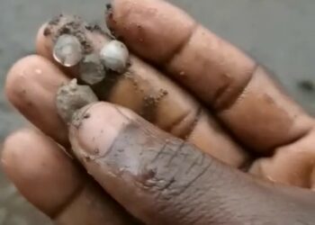 Côte d’Ivoire : une pluie de grêle s’est abattue sur Touba