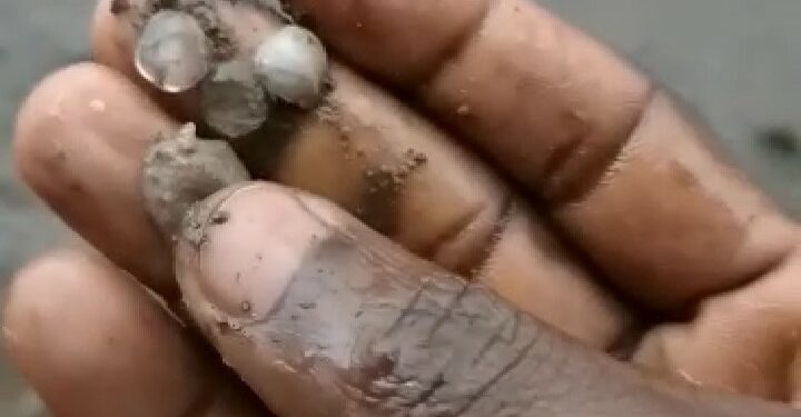 Côte d’Ivoire : une pluie de grêle s’est abattue sur Touba