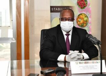 Le prix bord champ du cacao fixé à 750 FCFA/kg pour la campagne intermédiaire (Officiel)