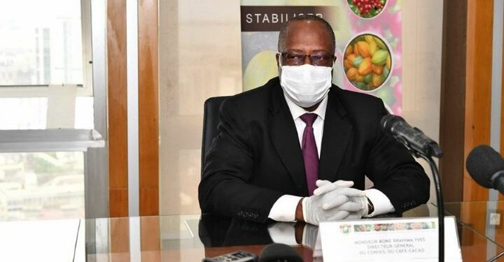 Le prix bord champ du cacao fixé à 750 FCFA/kg pour la campagne intermédiaire (Officiel)