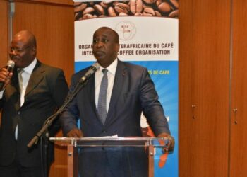 Filière café:  La Côte d’Ivoire déroule sa stratégie sur l’avenir du Robusta