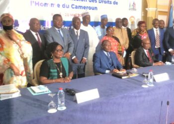 Gestion efficace d’une Institution Nationale des Droits de l’Homme : L’expérience ivoirienne s’exporte au Cameroun et en Centrafrique