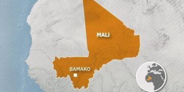 Pourquoi le Mali a été suspendu de la CEDEAO