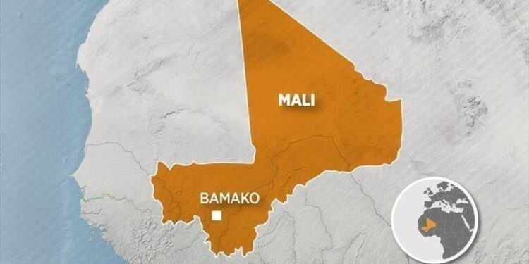 Pourquoi le Mali a été suspendu de la CEDEAO