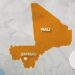 Pourquoi le Mali a été suspendu de la CEDEAO