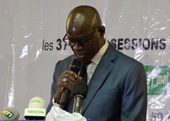 Enseignement supérieur:  Adama Diawara nouveau président du conseil des ministres du CAMES