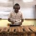 Concert: Le virtuose du balafon Nekobala en live ce samedi