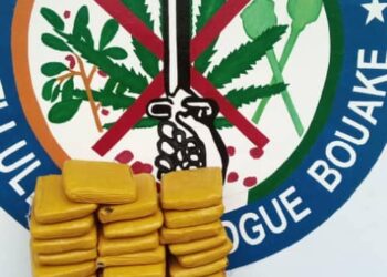 Bouaké: 22 Kg de canabis saisis au corridor nord