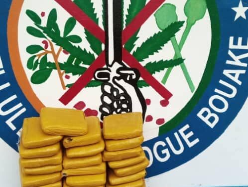Bouaké: 22 Kg de canabis saisis au corridor nord