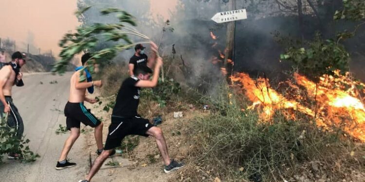 Le Maroc prêt à aider l’Algérie pour combattre les incendies de forêts