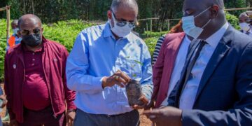 Agroforesterie : le Premier Ministre salue l&rsquo;engagement des planteurs pour une cacaoculture durable
