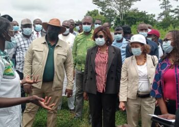 Pôle agroindustriel du Bélier (2PAI-Bélier):  Les ministres Adjoumani, Kaba et le bailleur font le point des réalisations