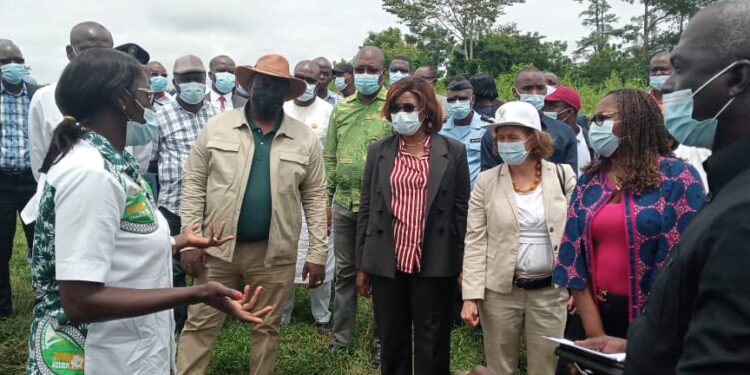 Pôle agroindustriel du Bélier (2PAI-Bélier):  Les ministres Adjoumani, Kaba et le bailleur font le point des réalisations