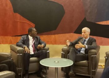 Sommet Afrique-France: Paulin Claude DANHO s&rsquo;entretient avec Franck RIESTER.