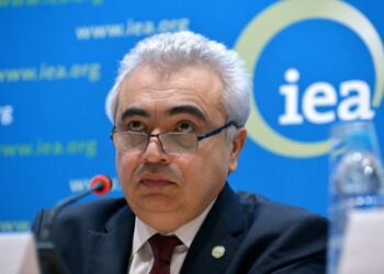 Neutralité carbone: «La Chine est une puissance en énergie propre… », selon l’AIE